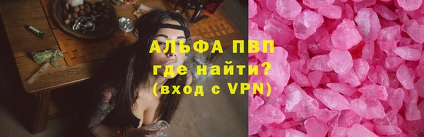 СК Абинск