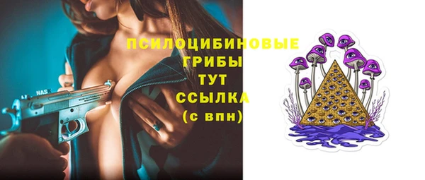 СК Абинск